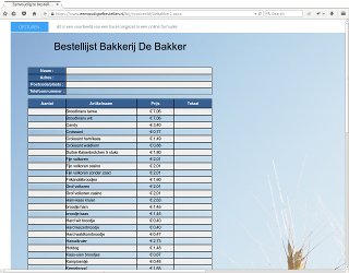 voorbeeld excel formulier